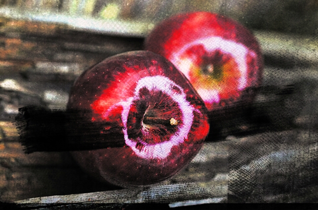 【魔法少女まどか☆マギカ】　　ほむほむ語変換　　【スマホアプリ】　